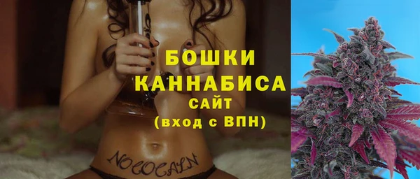 стафф Новозыбков