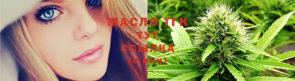 стаф Новодвинск