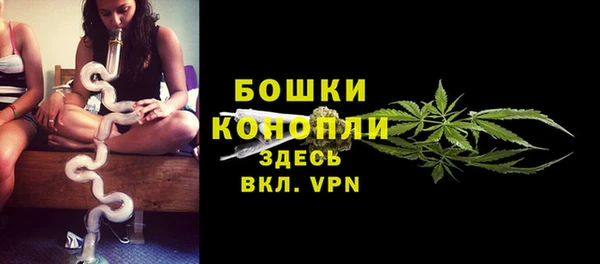 стаф Новодвинск