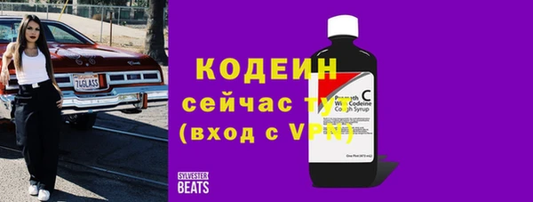 стафф Новозыбков
