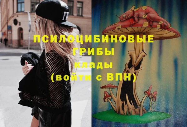 стафф Новозыбков