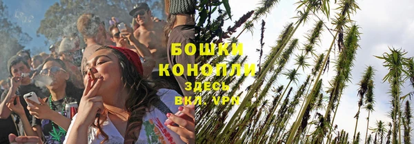 стаф Новодвинск