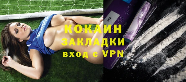 стаф Новодвинск
