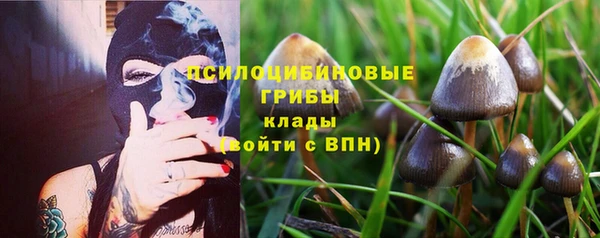 спайс Тында