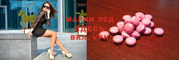 стаф Новодвинск
